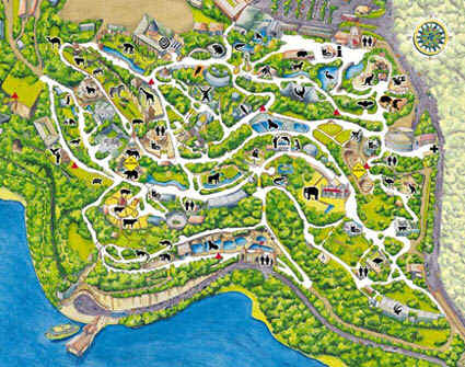 visite o ZOO